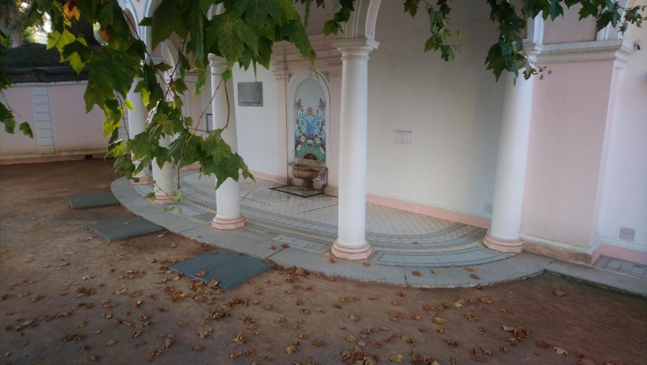 Hotel Du Palais Εβιάν-λε-Μπαιν Εξωτερικό φωτογραφία